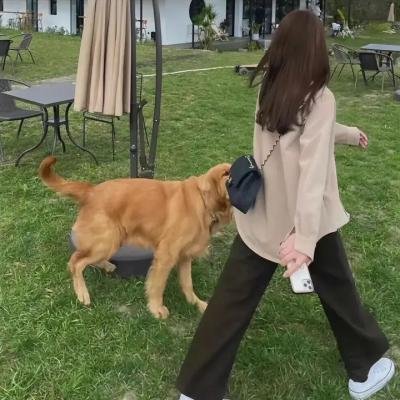 黑人歌王